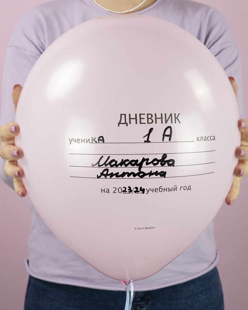 Воздушный Шар Школьный дневник