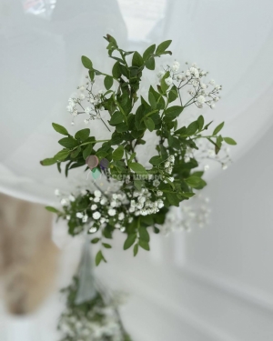 Шары для девушки на день рождения с баблс шаром и зеленью