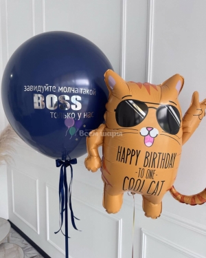 Шары для мужчины на день рождения с крутым котом