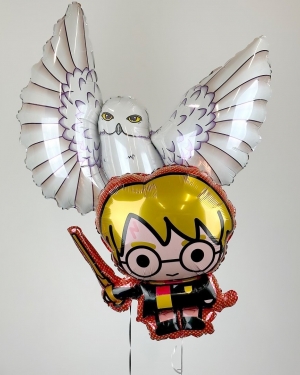 Шары "Волшебник и Сова"