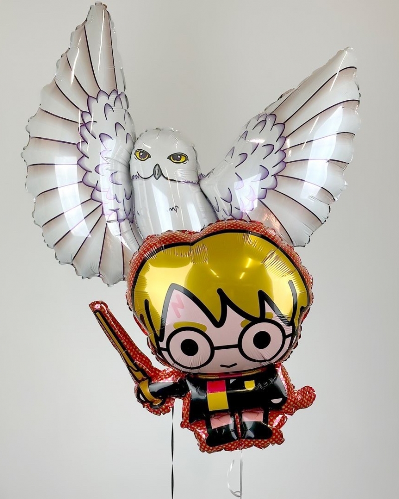 Шары "Волшебник и Сова"