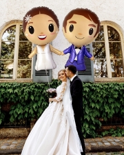 Шары Жених и Невеста