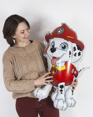 Шар Щенячий патруль, Маршалл