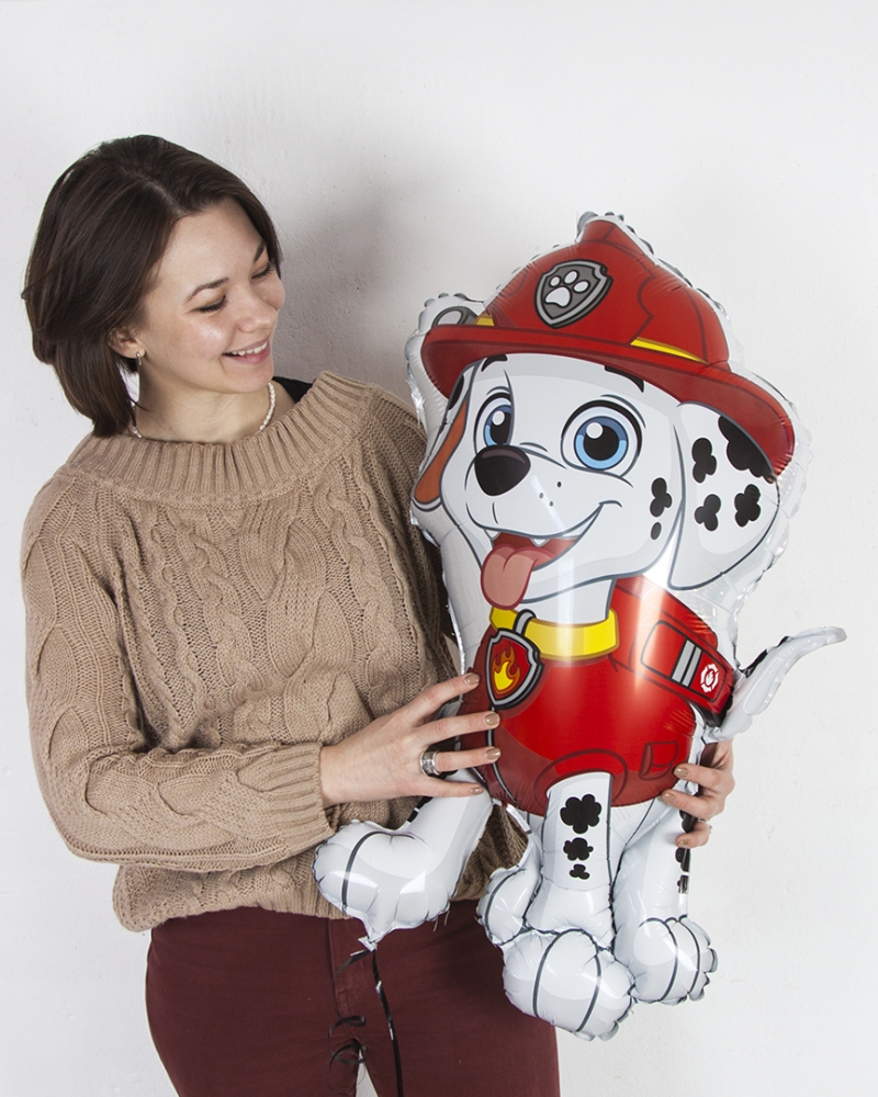 Шар Щенячий патруль, Маршалл