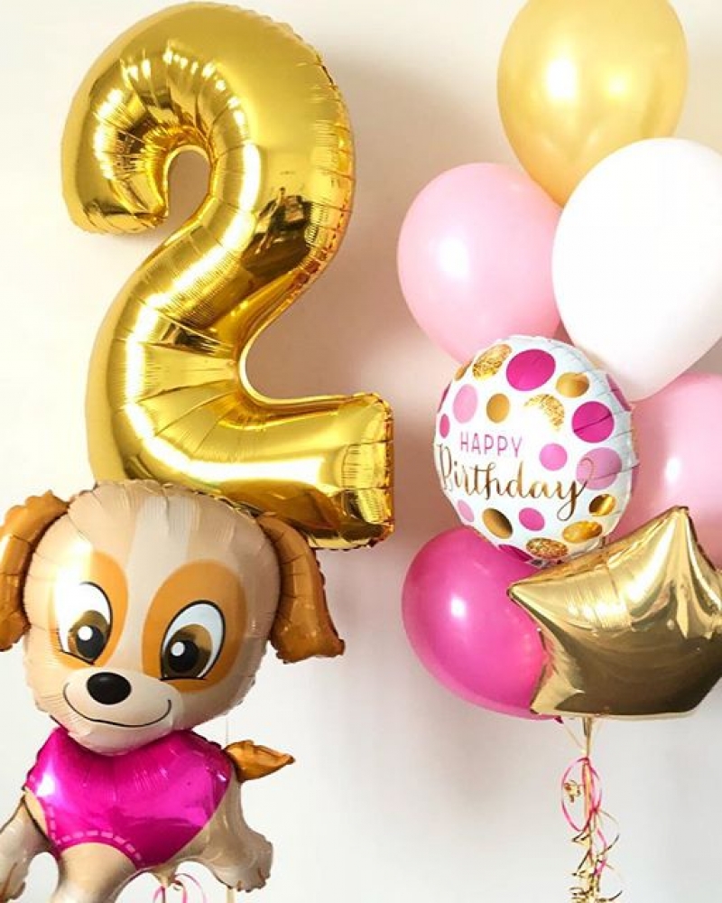 Шары для девочки "Щенок" 