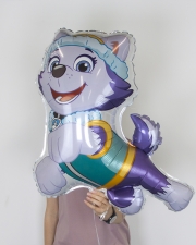 Шар Щенячий патруль, Эверест