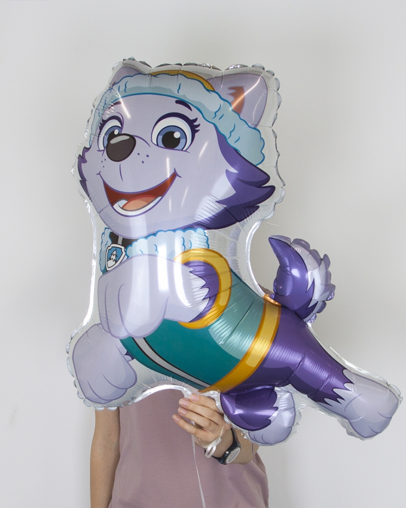 Шар Щенячий патруль, Эверест