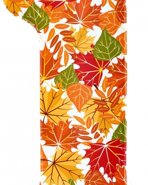 Шар Цифра, 1 Сентября, Осенние листья