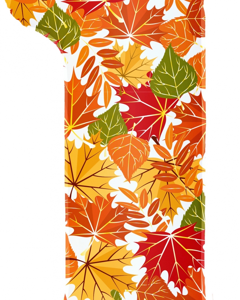 Шар Цифра, 1 Сентября, Осенние листья