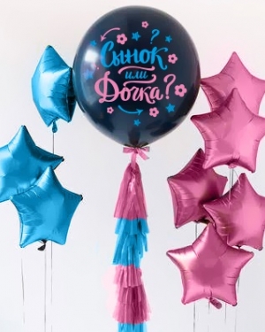 Воздушные Шары Гендер Пати