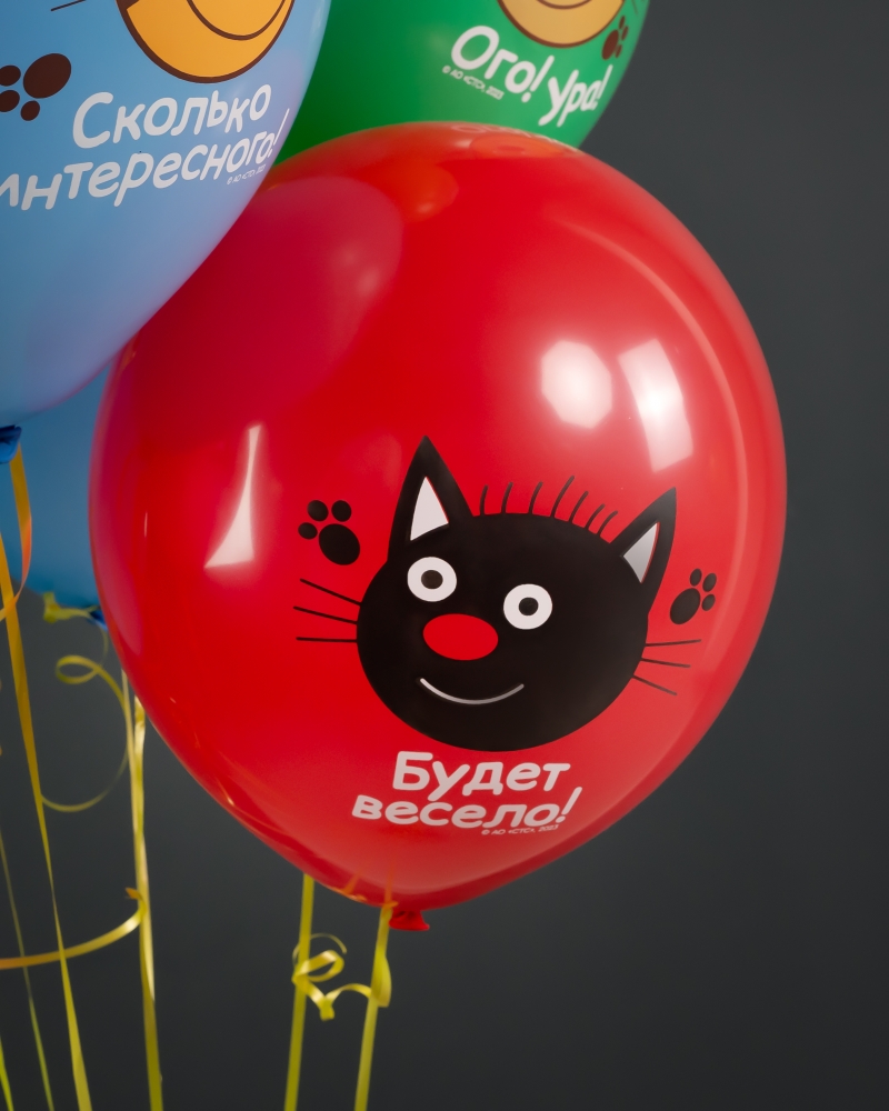 Воздушный Шар Три Кота, Играем вместе