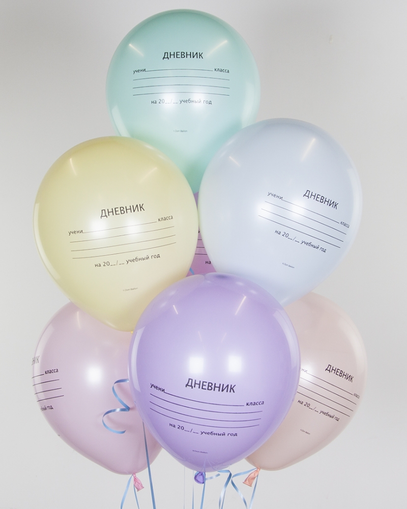 Воздушный Шар Школьный дневник