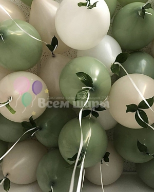 Крмевый эвкалипт под потолок