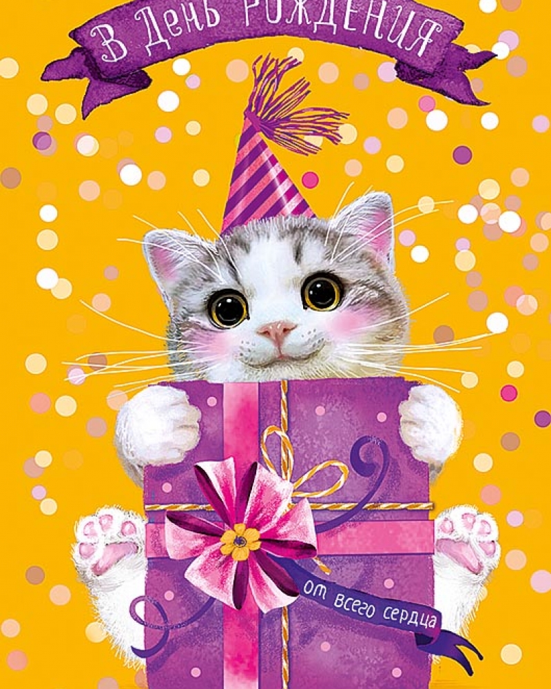Открытка, В День Рождения (котенок с подарком), 12*18 см, 1 шт.