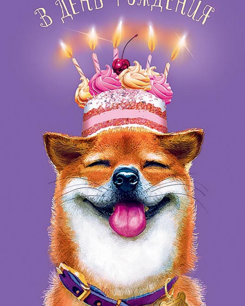Открытка, В День Рождения (песик и праздничный торт), Сиреневый, 12*18 см, 1 шт.