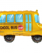 Шар Фигура, Школьный автобус